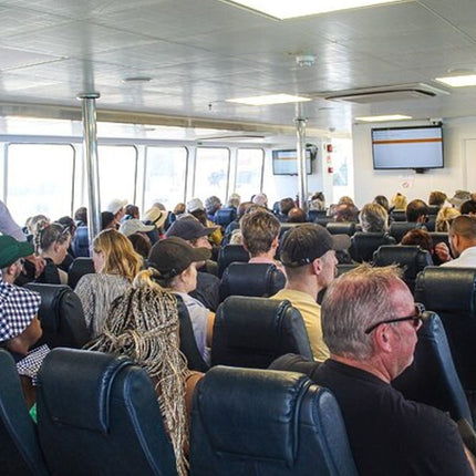 Half Day Experience in Robben Island Museum From Cape Town