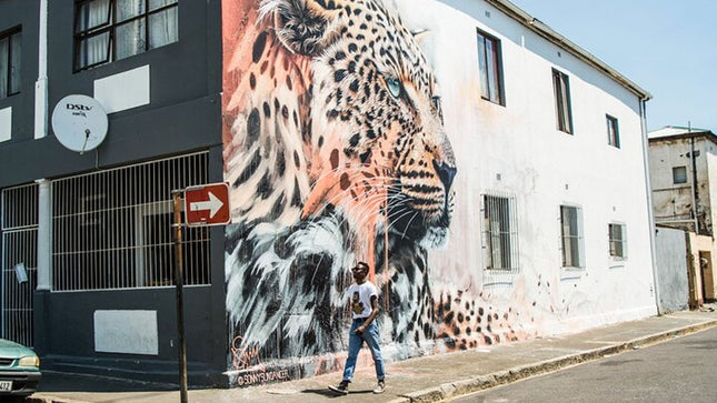 Cape Town: Woodstock Street Art & Culture Tour