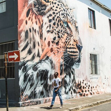 Cape Town: Woodstock Street Art & Culture Tour