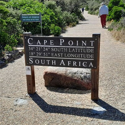 Cape of Good Hope Tour by Bus