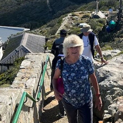 Cape Point & Boulders Beach Private Tour with Penguin Encounter
