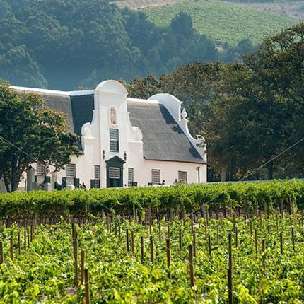 Robben Island ,Kirstenbosch Gardens and Groot Constantia.