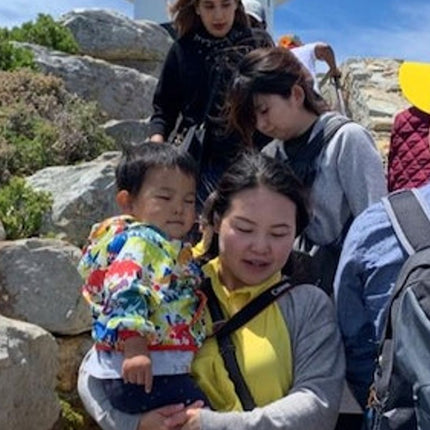 Cape Point & Boulders Beach Private Tour with Penguin Encounter