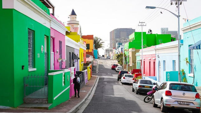 Combo Marine Wildlife Cruise & Cape Town City Full Day Tour