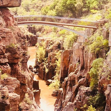 7 Days Kruger National Park Private Tour
