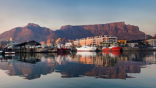 Combo Marine Wildlife Cruise & Winelands Full Day Tour in CT