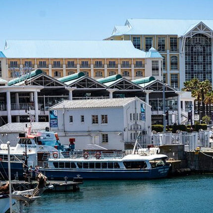 Self-Guided Scavenger Hunt: Rounding The Cape!
