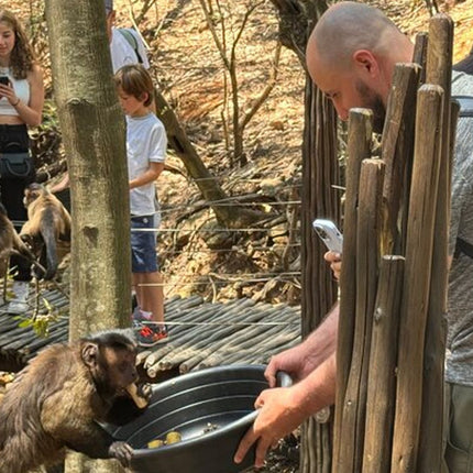 Elephant & Monkey Sanctuary Tour from Johannesburg