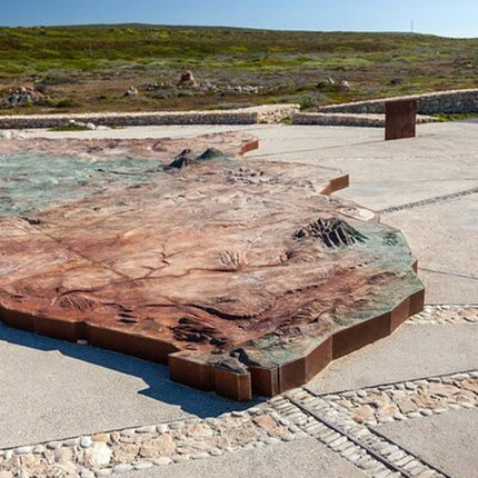 From Cape Town: Cape Agulhas Full Day Tour with Hotel Pick UP