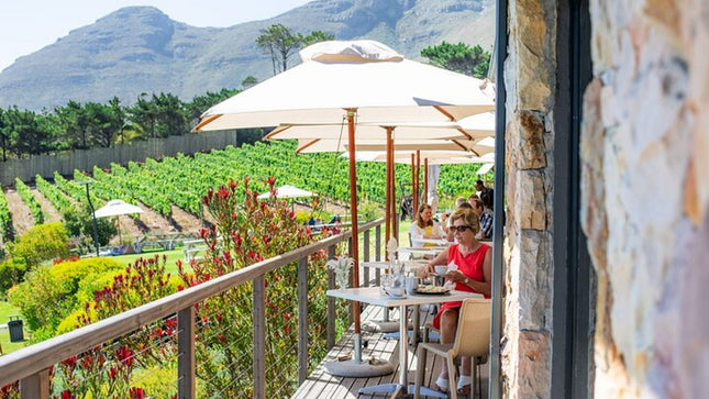 Cape Town Sights & Bites - Private Tour