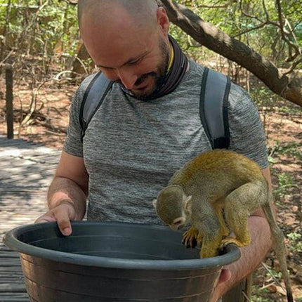 Elephant & Monkey Sanctuary Tour from Johannesburg