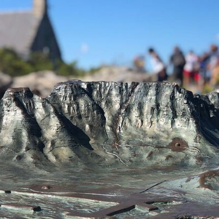 Cape Town and Cape of Good Hope Private Full-Day Tour