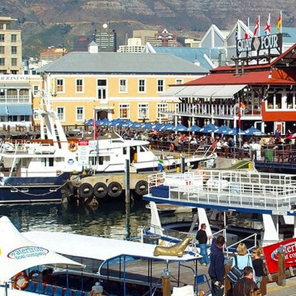 Robben Island, Table Mountain, and City Sights Private Tour