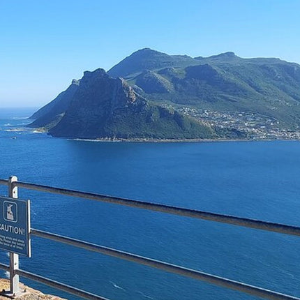 Table Mountain, Cape of Good Hope, Penguins and Sightseeing tour