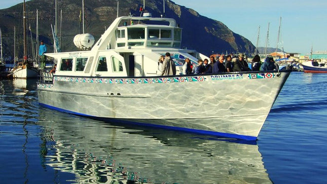 Cape Point & Cape Peninsula Day Tour from Cape Town