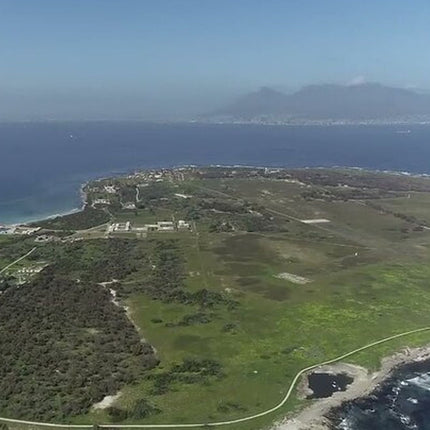 Robben Island Half Day Tour.
