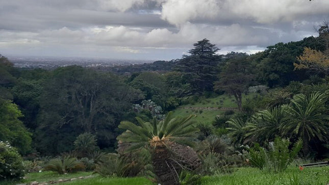 Robben Island, Kirstenbosch Garden, Groot Constantia Private Tour
