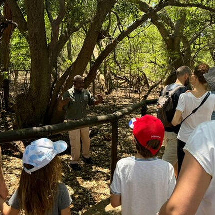 Elephant & Monkey Sanctuary Tour from Johannesburg