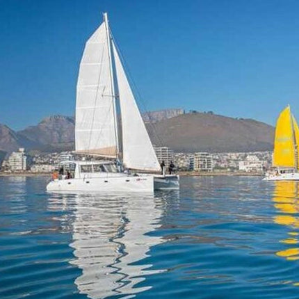 Midday Cruise in Cape Town