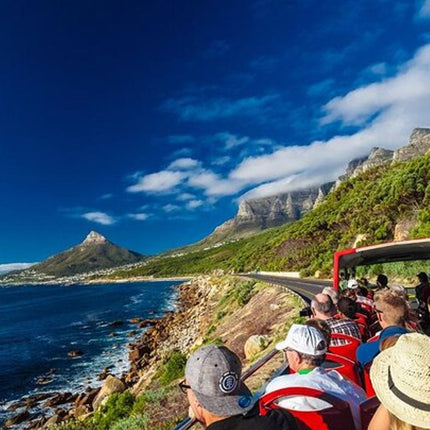 Robben Island, Table Mountain, and City Sights Private Tour
