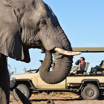 Inverdoorn Private Game Reserve Cape Town Tour