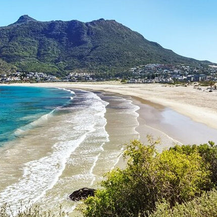 Full Day Cape Town Sightseeing