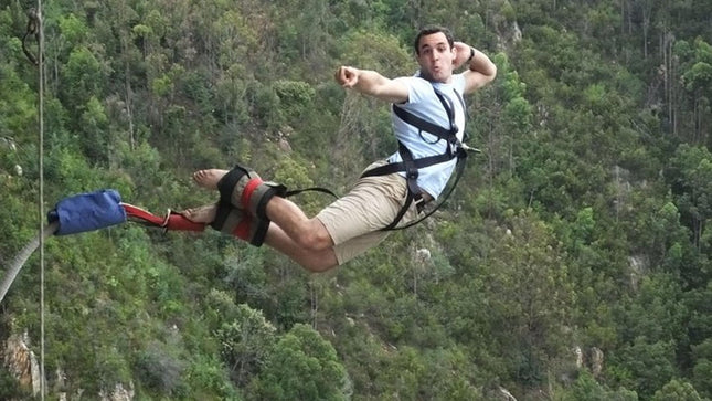 3 Day Big 5 and Bungee Tour - Garden Route Small Group Tour from Cape Town