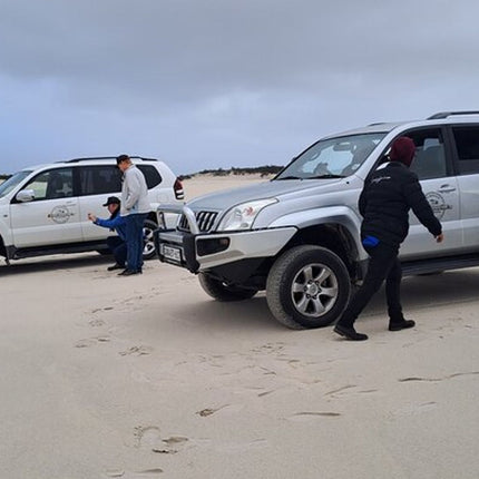 Half-Day Sand Dune Safaris in Cape Town