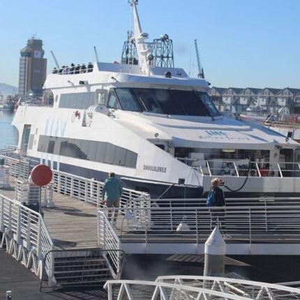 Half Day Experience In Robben Island From Cape Town