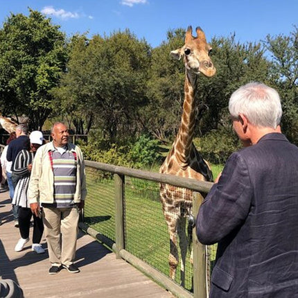Unforgettable Lion Safari Adventure from Johannesburg