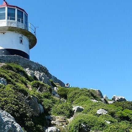 3 Days Private Tour: Cape point, Table Mountain & Robben Island
