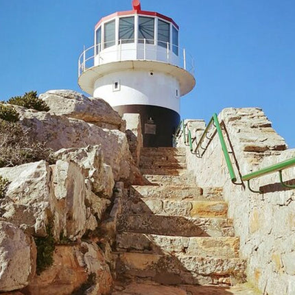 Full day Cape Peninsula Tour