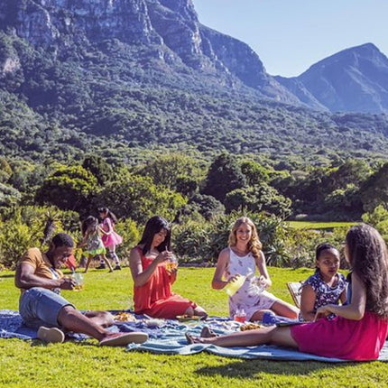 Robben Island Ticket, Kirstenbosch & South African Wine Tasting Small Group Tour