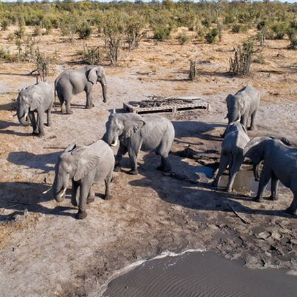 Inverdoorn Private Game Reserve Cape Town Tour