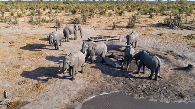 Inverdoorn Private Game Reserve Cape Town Tour