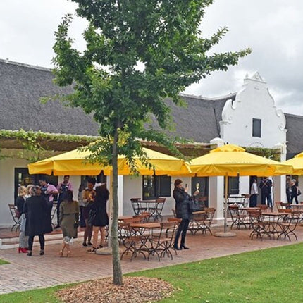 Private Tour of 3 Top Winelands with Wine Tasting from Cape Town