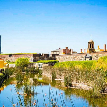 Cape Town Uncovered: History, Culture & People Walking Tour
