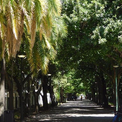 Private Cape Town City Tour