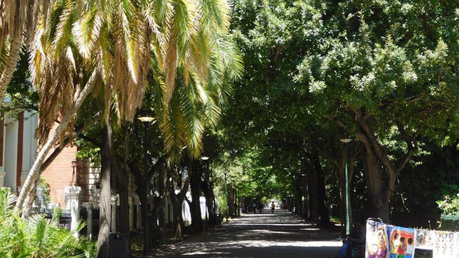 Private Cape Town City Tour