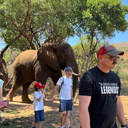 Elephant & Monkey Sanctuary Tour from Johannesburg