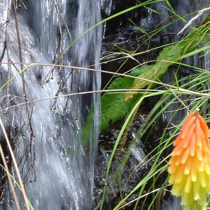 Sani Pass Day Tour from Durban