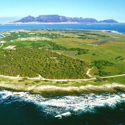 Robben Island ,Kirstenbosch Gardens and Groot Constantia.