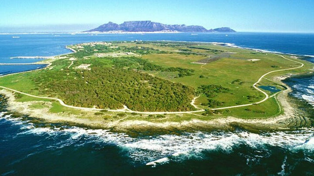 Robben Island ,Kirstenbosch Gardens and Groot Constantia.
