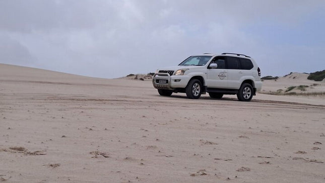 Half-Day Sand Dune Safaris in Cape Town