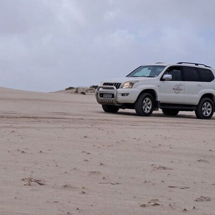 Half-Day Sand Dune Safaris in Cape Town