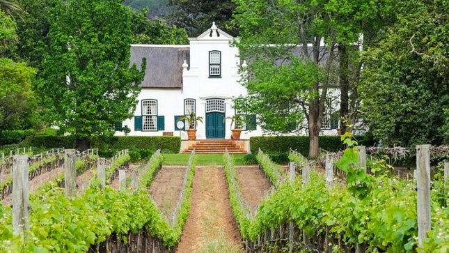 Quad Biking - Long March to Freedom and Klein Constanstia winery