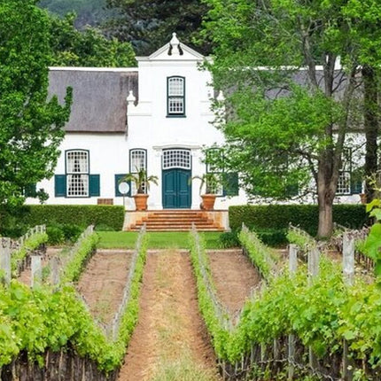 Quad Biking - Long March to Freedom and Klein Constanstia winery