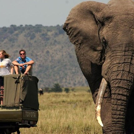 7 Days Safari - Isimangaliso, Hluhluwe & Drakensberg from Durban