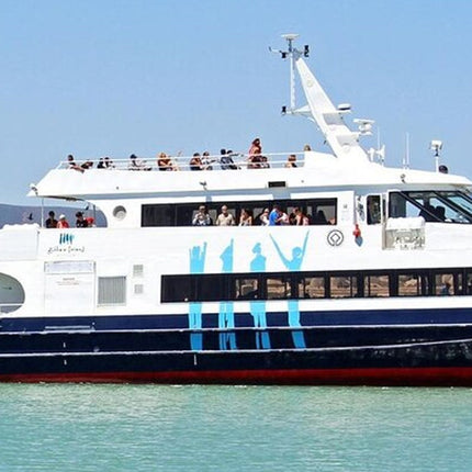 Private Tour Robben Island, Kirstenbosch and wine tasting