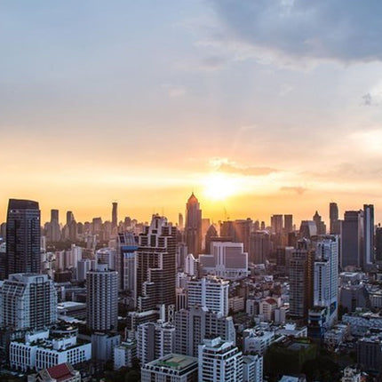 Johannesburg Full-Day Private Car with Chauffeur Service